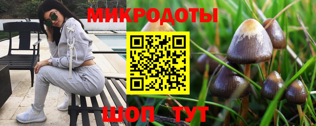 где найти   Вход с VPN  Ивантеевка  Галлюциногенные грибы мухоморы 