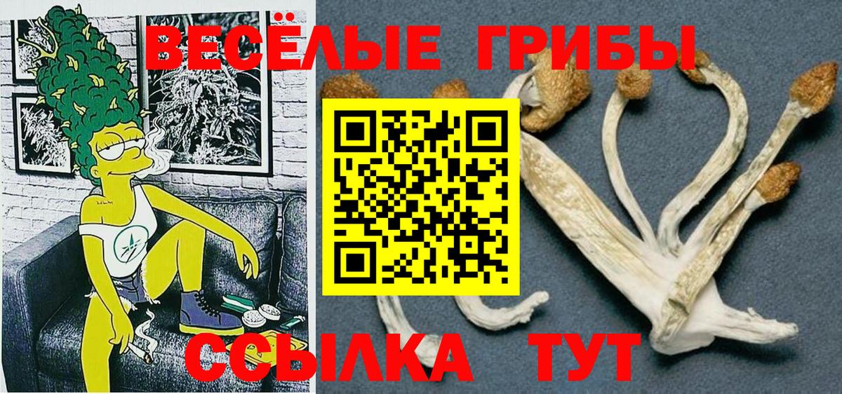 Галлюциногенные грибы MAGIC MUSHROOMS Ивантеевка
